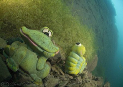 Kermit. Capernwray. D200, 10.5mm. by Derek Haslam 